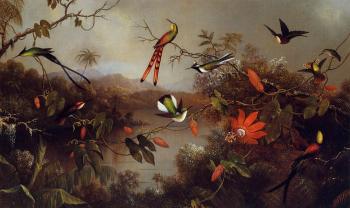 馬丁 約翰遜 赫德 Tropical Landscape with Ten Hummingbirds